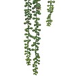 ATMOSPHERA - Plante artificielle tombante de senecon H37cm - vignette