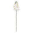 ATMOSPHERA - Tige d'orchidée artificielle "Gisele" H95cm - vignette