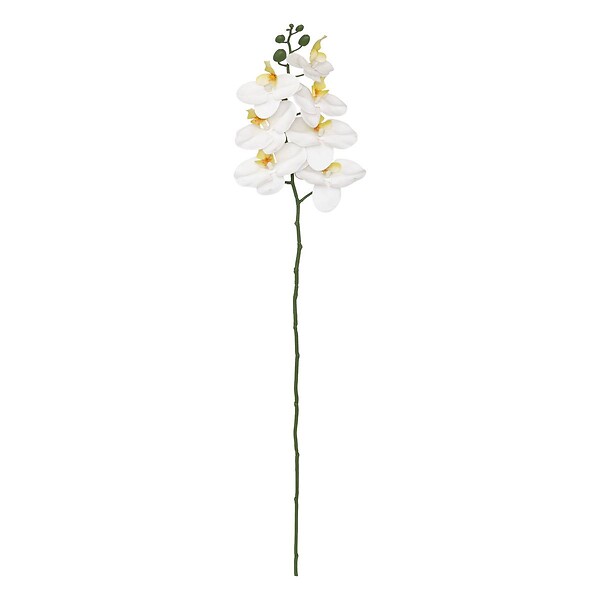 ATMOSPHERA - Tige d'orchidée artificielle "Gisele" H95cm - large