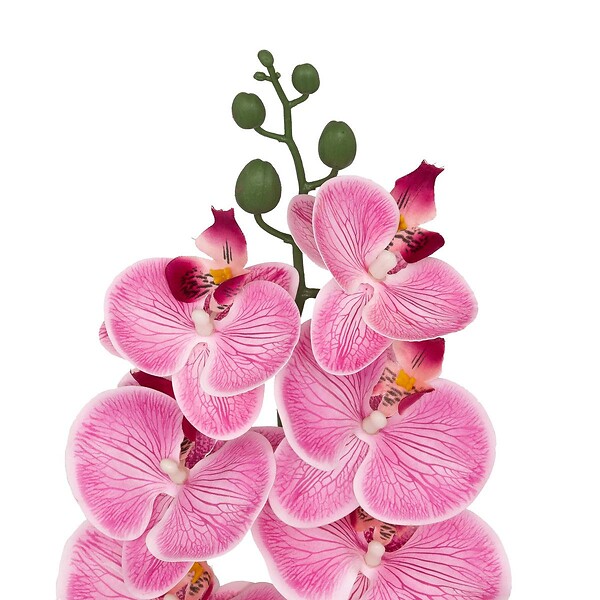 ATMOSPHERA - Tige d'orchidée artificielle "Gisele" H95cm - large