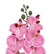 ATMOSPHERA - Tige d'orchidée artificielle "Gisele" H95cm - vignette