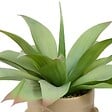 ATMOSPHERA - Plante artificielle agave Sien H48cm - vignette