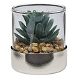 ATMOSPHERA - Terrarium Sky 8,5x8cm - vignette