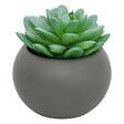 ATMOSPHERA - Plante grasse en pot H13 - vignette