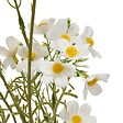 ATMOSPHERA - Tige Cosmos Artificielle Phoebe H63 cm Jaune - vignette