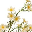 ATMOSPHERA - Tige Cosmos Artificielle Phoebe H63 cm Jaune - vignette