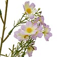 ATMOSPHERA - Tige Cosmos Artificielle Phoebe H63 cm Jaune - vignette