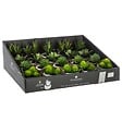 ATMOSPHERA - Plante grasse artificielle - pot en céramique - H8 cm - Blanc - vignette