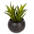 ATMOSPHERA - Plante grasse artificielle - pot en céramique - H8 cm - Blanc - vignette