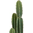 ATMOSPHERA - Plante artificielle cactus Sien H132cm - vignette