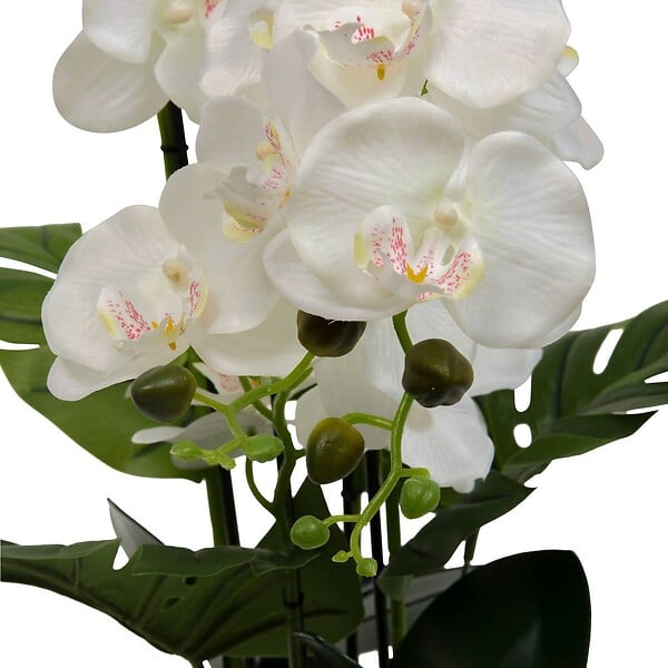 ATMOSPHERA - Fleur Artificielle Asia Orchidée H81 cm Pot en Grès Vert - large