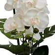 ATMOSPHERA - Fleur Artificielle Asia Orchidée H81 cm Pot en Grès Vert - vignette