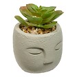 ATMOSPHERA - Plante artificielle Teri 9 cm avec Pot visage - vignette