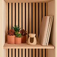 ATMOSPHERA - Plante artificielle en pot Wonj 22x16cm - vignette