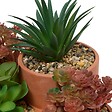 ATMOSPHERA - Plante artificielle en pot Wonj 22x16cm - vignette