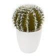 ATMOSPHERA - Plante succulente & cactus H18cm - vignette
