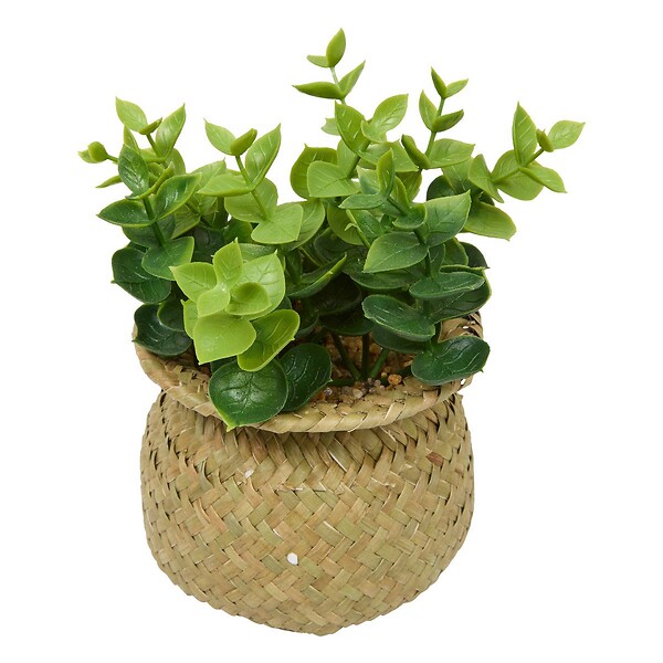 ATMOSPHERA - Plante artificielle en pot Jil 10x10cm - large