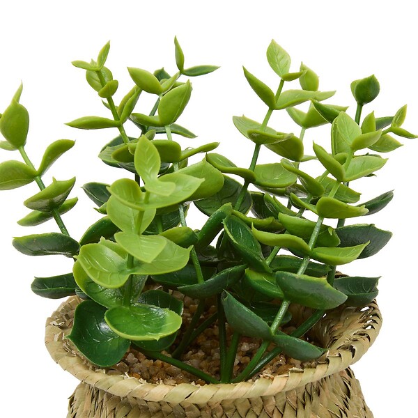 ATMOSPHERA - Plante artificielle en pot Jil 10x10cm - large