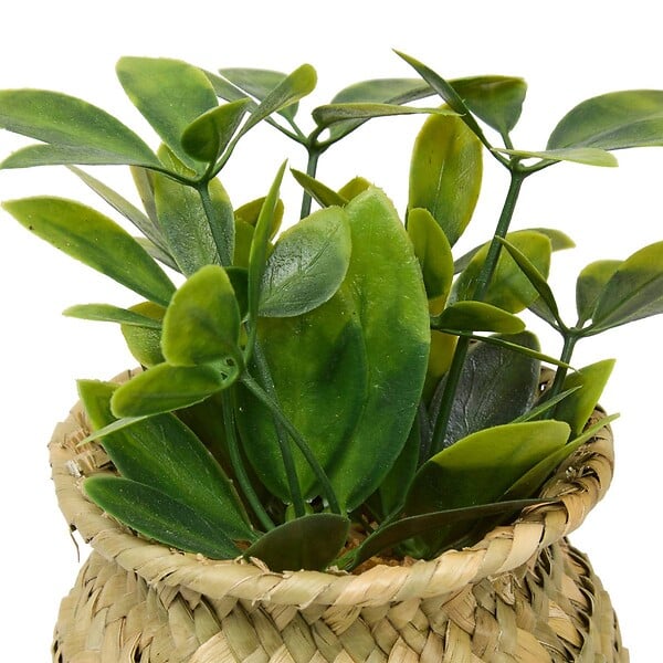 ATMOSPHERA - Plante artificielle en pot Jil 10x10cm - large