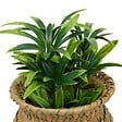 ATMOSPHERA - Plante artificielle en pot Jil 10x10cm - vignette