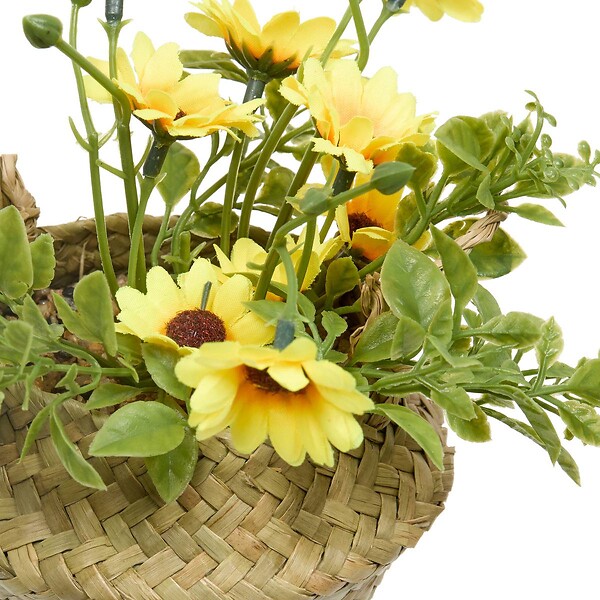 ATMOSPHERA - Composition de Marguerites Tifi H17cm - large