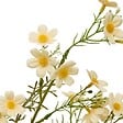 ATMOSPHERA - Tige Cosmos Artificielle Phoebe H63 cm Jaune - vignette