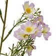 ATMOSPHERA - Tige Cosmos Artificielle Phoebe H63 cm Jaune - vignette