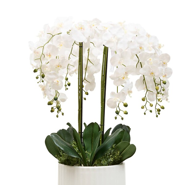 ATMOSPHERA - Fleur Artificielle Hotel H130cm avec Pot Blanc - large