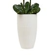 ATMOSPHERA - Fleur Artificielle Hotel H130cm avec Pot Blanc - vignette