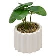 ATMOSPHERA - Plante artificielle en pot Flow 9,5x9,5cm - vignette