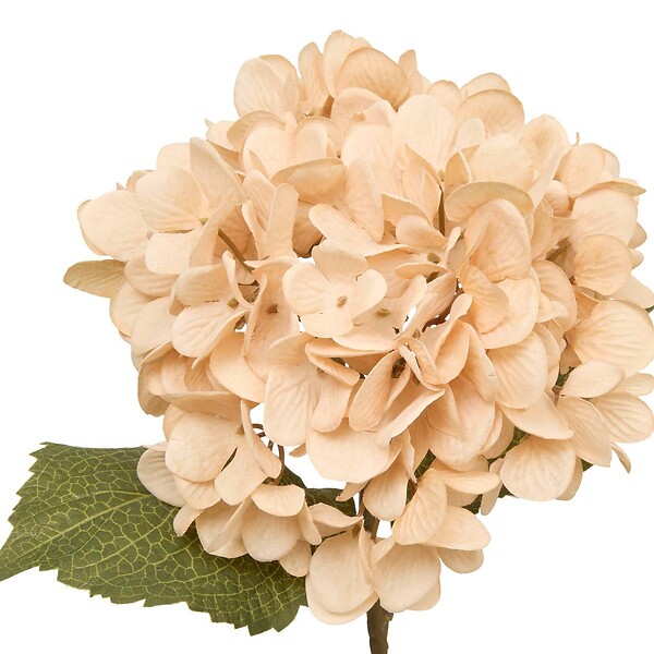 ATMOSPHERA - Fleur artificielle Fria H62cm - large