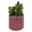 ATMOSPHERA - Plante artificielle en pot Cheri 13x10cm - vignette