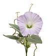 ATMOSPHERA - Tige Petunia Artificielle Phoebe H76 cm Blanche - vignette