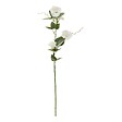 ATMOSPHERA - Tige Petunia Artificielle Phoebe H76 cm Blanche - vignette