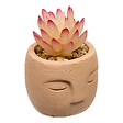 ATMOSPHERA - Plante artificielle Teri 9 cm avec Pot visage - vignette