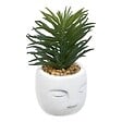 ATMOSPHERA - Plante artificielle Teri 9 cm avec Pot visage - vignette