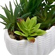 ATMOSPHERA - Plante Artificielle Ocea avec Pot Coquillage H20cm Blanc - vignette