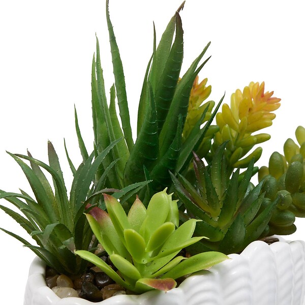 ATMOSPHERA - Plante Artificielle Ocea avec Pot Coquillage H20cm Blanc - large