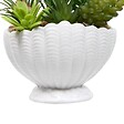 ATMOSPHERA - Plante Artificielle Ocea avec Pot Coquillage H20cm Blanc - vignette