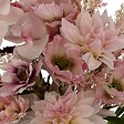 ATMOSPHERA - Bouquet de fleurs artificielles "Wild" rose H60cm - vignette