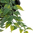 ATMOSPHERA - Plante artificielle suspendue Ayame pot noir H14cm - vignette