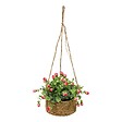ATMOSPHERA - Rosier artificielle suspendue Musa 42 cm - vignette