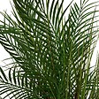 ATMOSPHERA - Palmier artificiel en pot Wonj H142cm - vignette