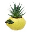 ATMOSPHERA - Plante artificielle Fruity avec pot raison 10 cm - vignette