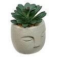 ATMOSPHERA - Plante artificielle Teri 9 cm avec Pot visage - vignette