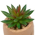 ATMOSPHERA - Plante artificielle Teri 9 cm avec Pot visage - vignette