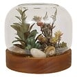 ATMOSPHERA - Terrarium Wonj 15,7x14cm - vignette
