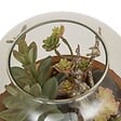 ATMOSPHERA - Terrarium Wonj 15,7x14cm - vignette