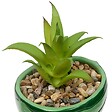 ATMOSPHERA - Plante artificielle Fruity avec pot raison 10 cm - vignette
