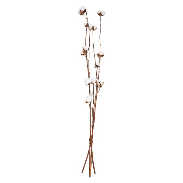 ATMOSPHERA - Fleurs séchées naturelles H100 cm - Multicolore - large